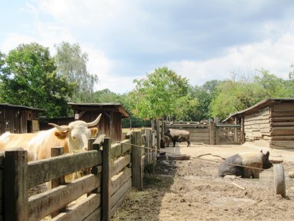 Düppel-museokylä Düppel-museokylä
