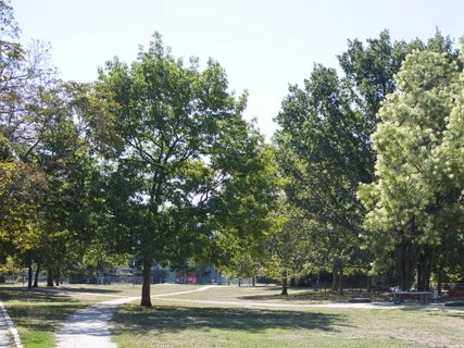 Harry-Bresslau-Park Harry-Bresslau-Park