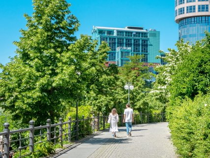 Camino del recuerdo Camino del recuerdo