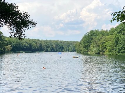 Vino kaista Vino kaista